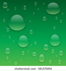 Realistic Transparent Water Drops.  Vector background with drops.