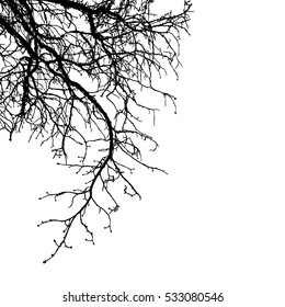 Realistic tree branches silhouette (Vector illustration).Eps10