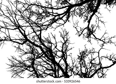 Realistic Tree Branches Silhouette Vector Illustrationeps10 Stock ...