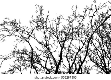 Realistic tree branches silhouette (Vector illustration).Eps10