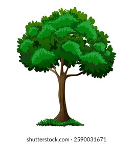 Realistic Tree Illustration and Eco-Friendly Design. Illustration of a tree with white background. Vector Illustration.