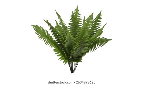Realistic tree, palm, bush on transparent background. Greenery for landscape or architectural design, botanical elements for garden or forest, vector png.	
