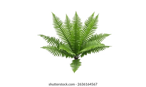 Realistic tree, palm, bush on transparent background. Greenery for landscape or architectural design, botanical elements for garden or forest, vector png.	