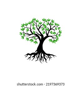 Realistic Tree Roots Isolated on White Background.
