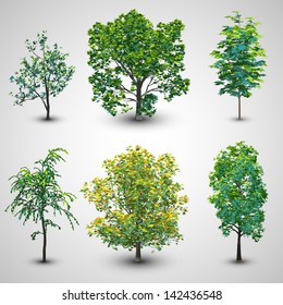 Realistic Tree Set with Sunlight Set 2 | EPS10 Vector