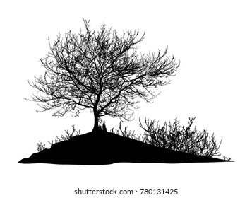 Realistic tree silhouette, bush with bare branches (Vector illustration).Eps10
