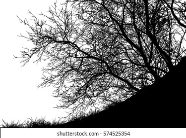 Realistic tree silhouette with grass (Vector illustration).Eps10