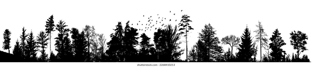 Realistic tree silhouette. Horizontal black silhouette of the forest. Winter trees. Vector illustration