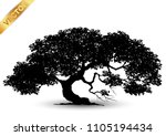 Realistic tree silhouette isolated on white background.
