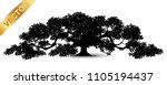 Realistic tree silhouette isolated on white background.
