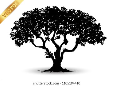 Realistic tree silhouette isolated on white background.
