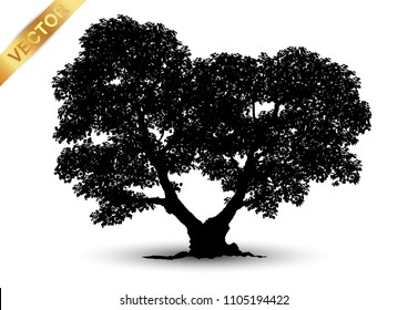 Realistic tree silhouette isolated on white background.

