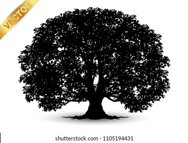 Realistic tree silhouette isolated on white background.
