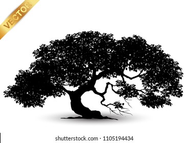 Realistic tree silhouette isolated on white background.
