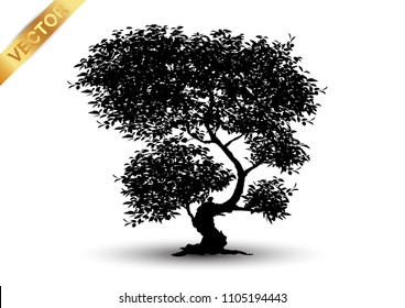 Realistic tree silhouette isolated on white background.
