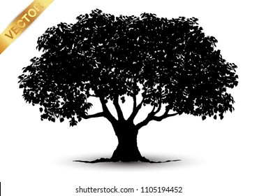 Realistic tree silhouette isolated on white background.
