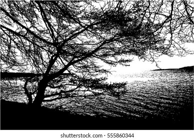 Realistic tree silhouette on the seashore (Vector illustration).Eps10