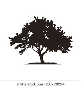 Realistic tree silhouette Vector illustration