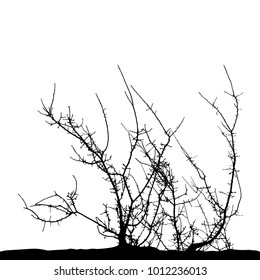 Realistic tree silhouette (Vector illustration).Eps10