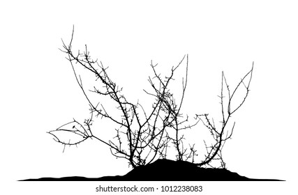 Realistic tree silhouette (Vector illustration).Eps10
