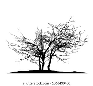 Realistic tree silhouette (Vector illustration).Eps10