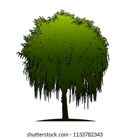 Realistic tree silhouette (Vector illustration).Eps10