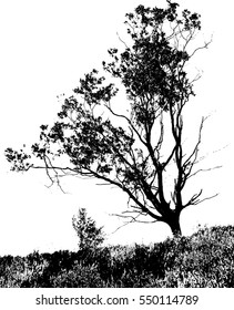 Realistic tree silhouette (Vector illustration).Eps10