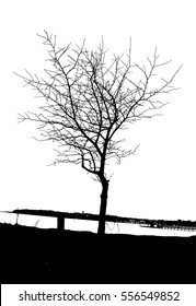 Realistic tree silhouette (Vector illustration).Eps10