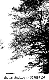 Realistic tree silhouette (Vector illustration).Eps10