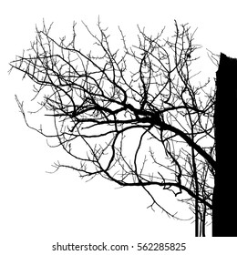 Realistic tree silhouette (Vector illustration).Eps10