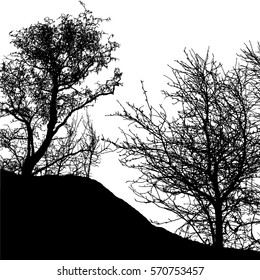 Realistic tree silhouette (Vector illustration).Eps10