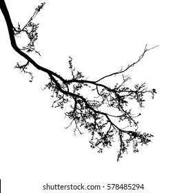 Realistic tree silhouette (Vector illustration).Eps10