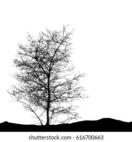 Realistic tree silhouette (Vector illustration).Eps10