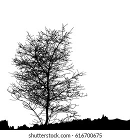 Realistic tree silhouette (Vector illustration).Eps10