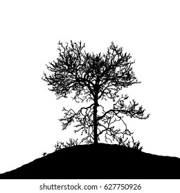 Realistic tree silhouette (Vector illustration).Eps10