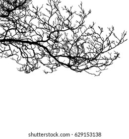 Realistic tree silhouette (Vector illustration).Eps10