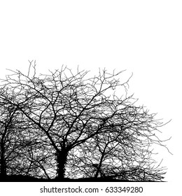 Realistic tree silhouette (Vector illustration).Eps10