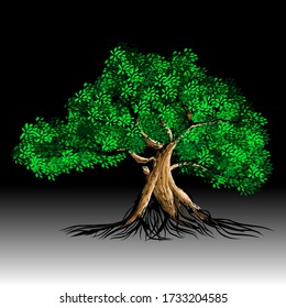 Realistic tree vector with bushy leaves and roots. black background integrated white color
