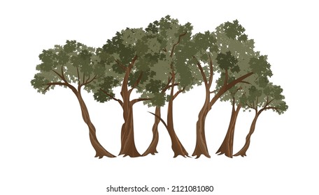 Realistic tree vector collection on white background