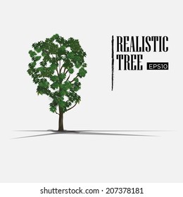 realistic tree - vector illustration