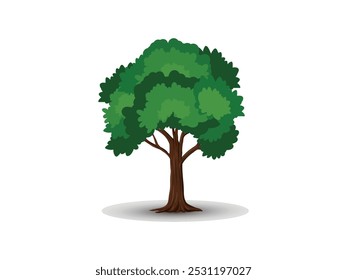 Realistic tree vector isolated on white background	