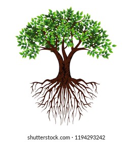 Realistic tree vector logo design, tree with a great roots