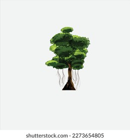Realistic Trees Isolated on White Background.