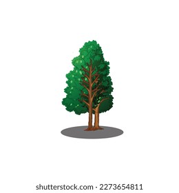 Realistic Trees Isolated on White Background.