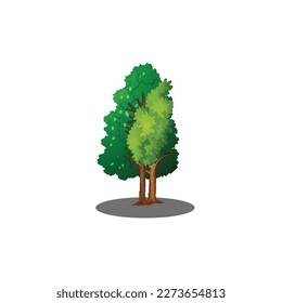 Realistic Trees Isolated on White Background.