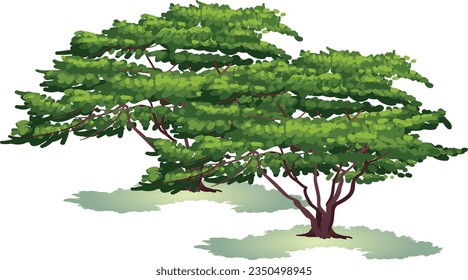 Realistic Trees Isolated on White Background
