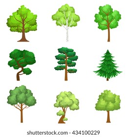 Realistic Trees Set Of Realistic Design Vector Stickers Isolated On White Background