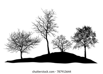 Realistic trees silhouette (Vector illustration). Eps10