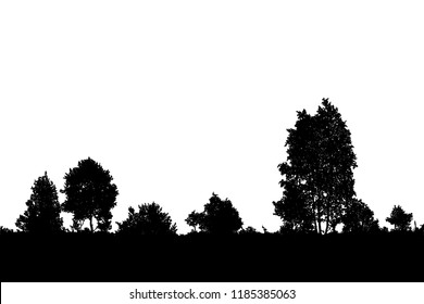 Realistic trees silhouette (Vector illustration).Eps10