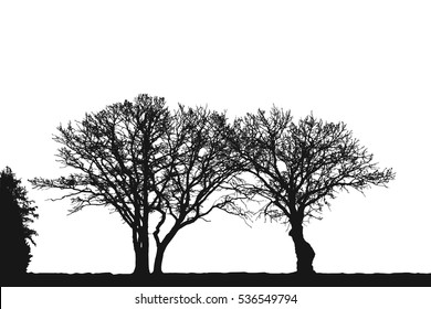 Realistic trees  silhouette (Vector illustration).eps10

